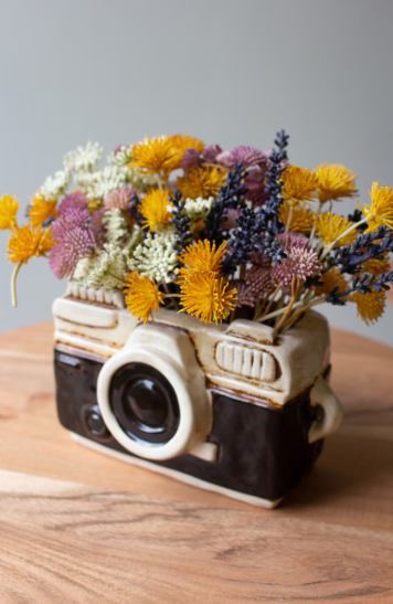 Camera Planter