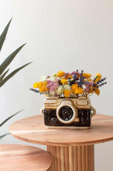 Camera Planter
