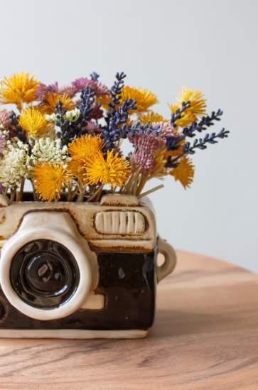 Camera Planter