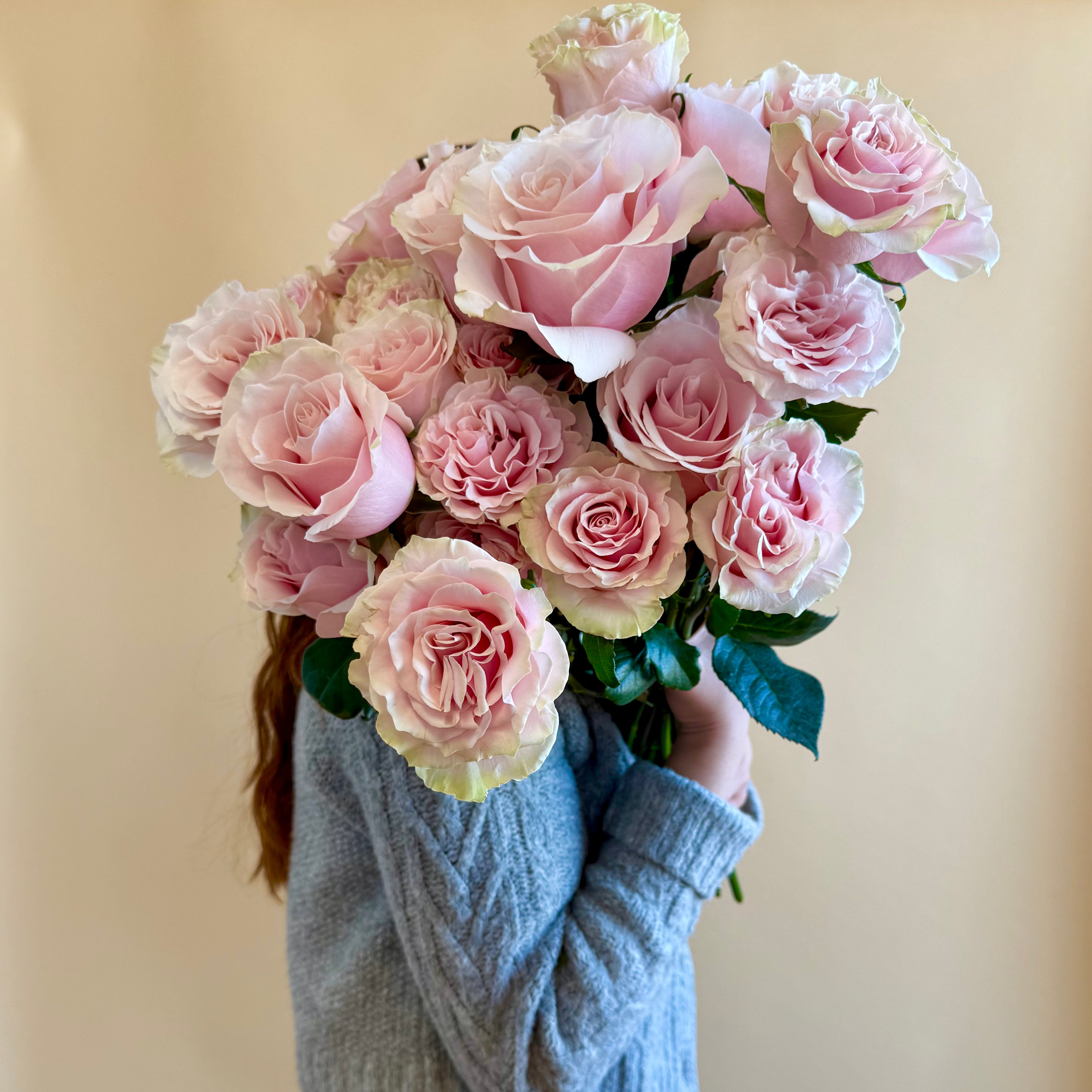 Model holding dozen blush roses.