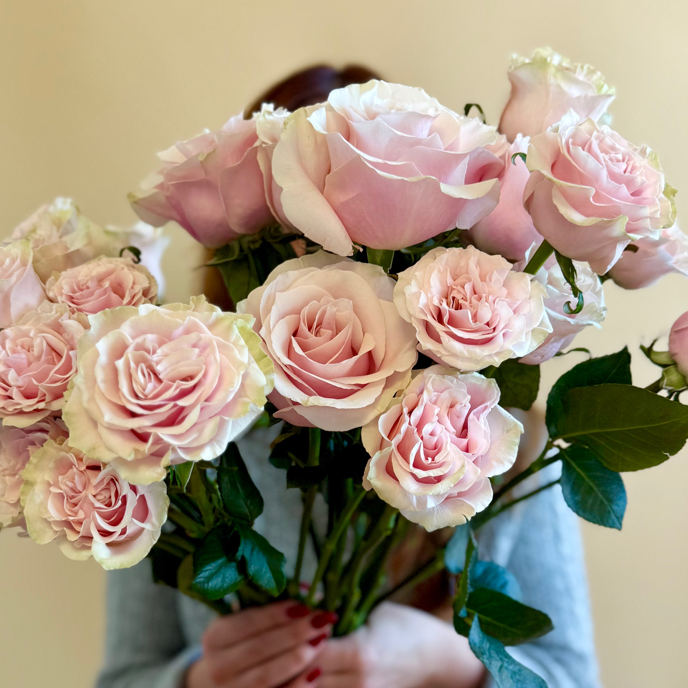 Model holding dozen blush roses.