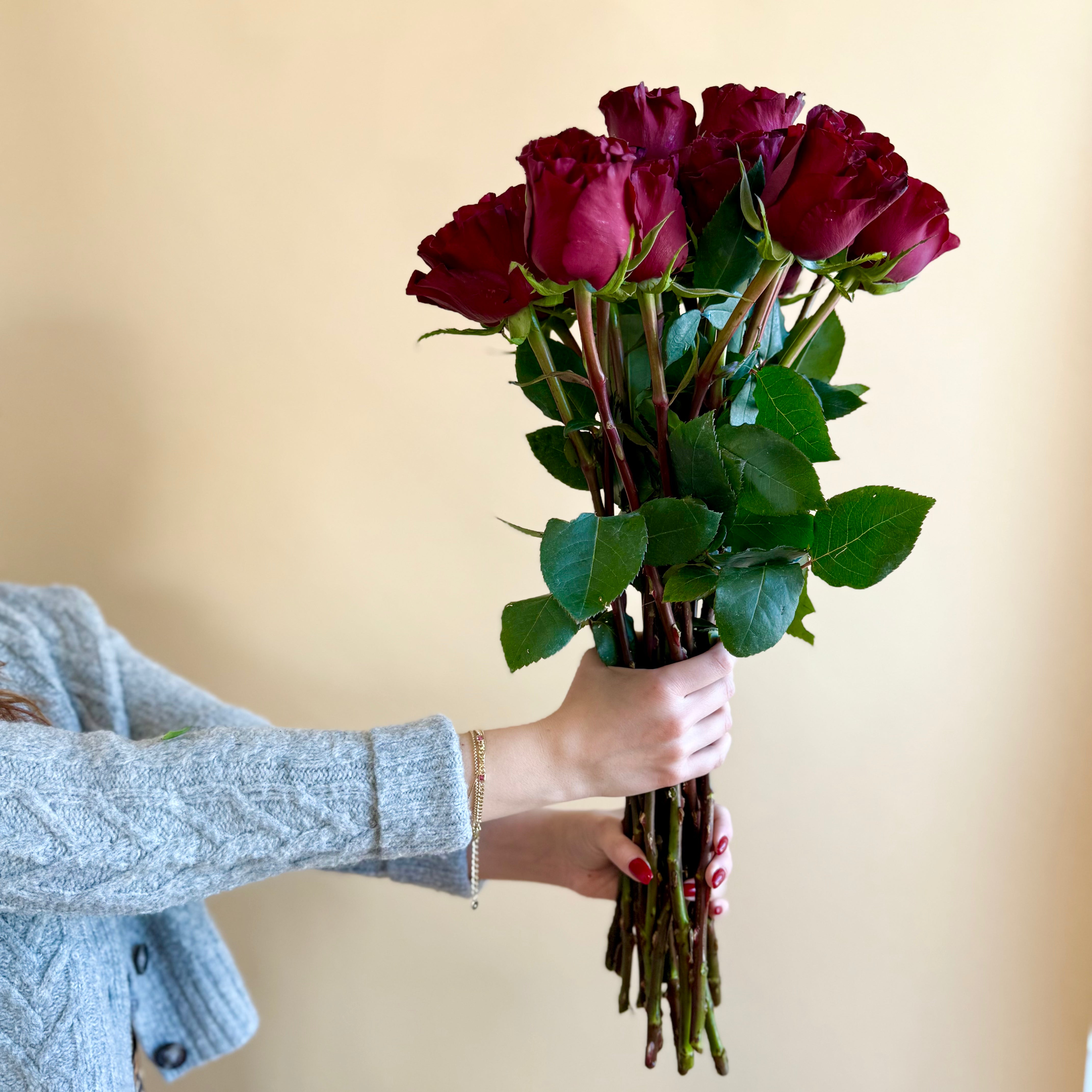 Product shoot of dozen scarlet red roses