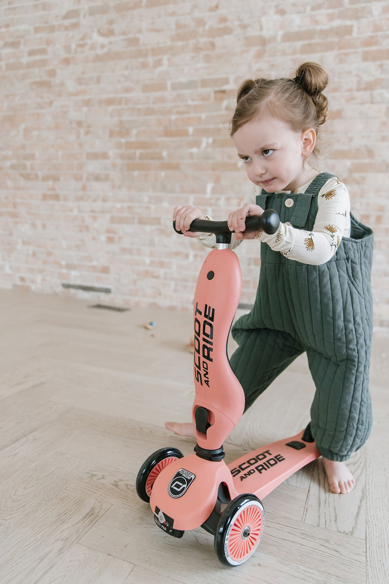 and Highway Kick Scooter – Jolley's Gift and Floral