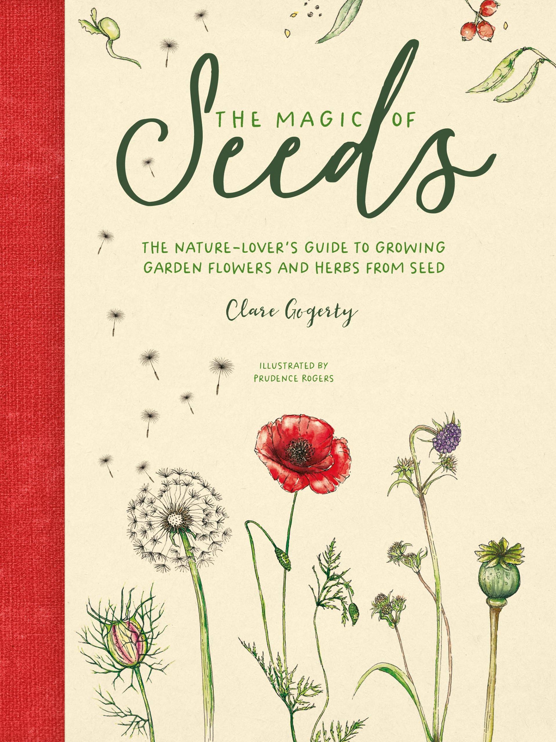 Magic of Seeds