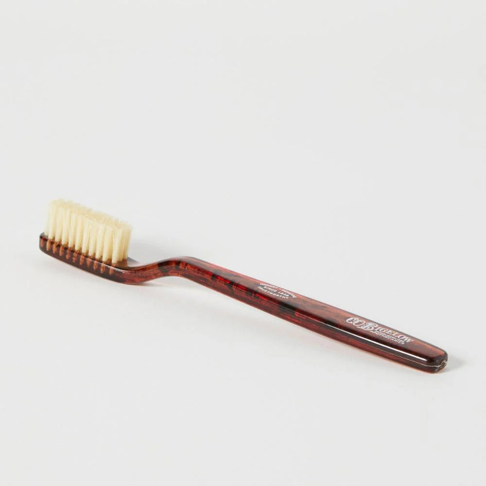 Soft Tortoise Toothbrush