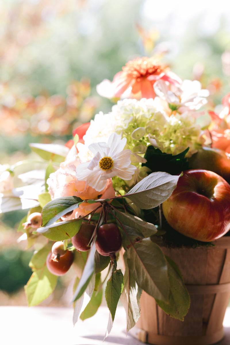 Sweet Cider
