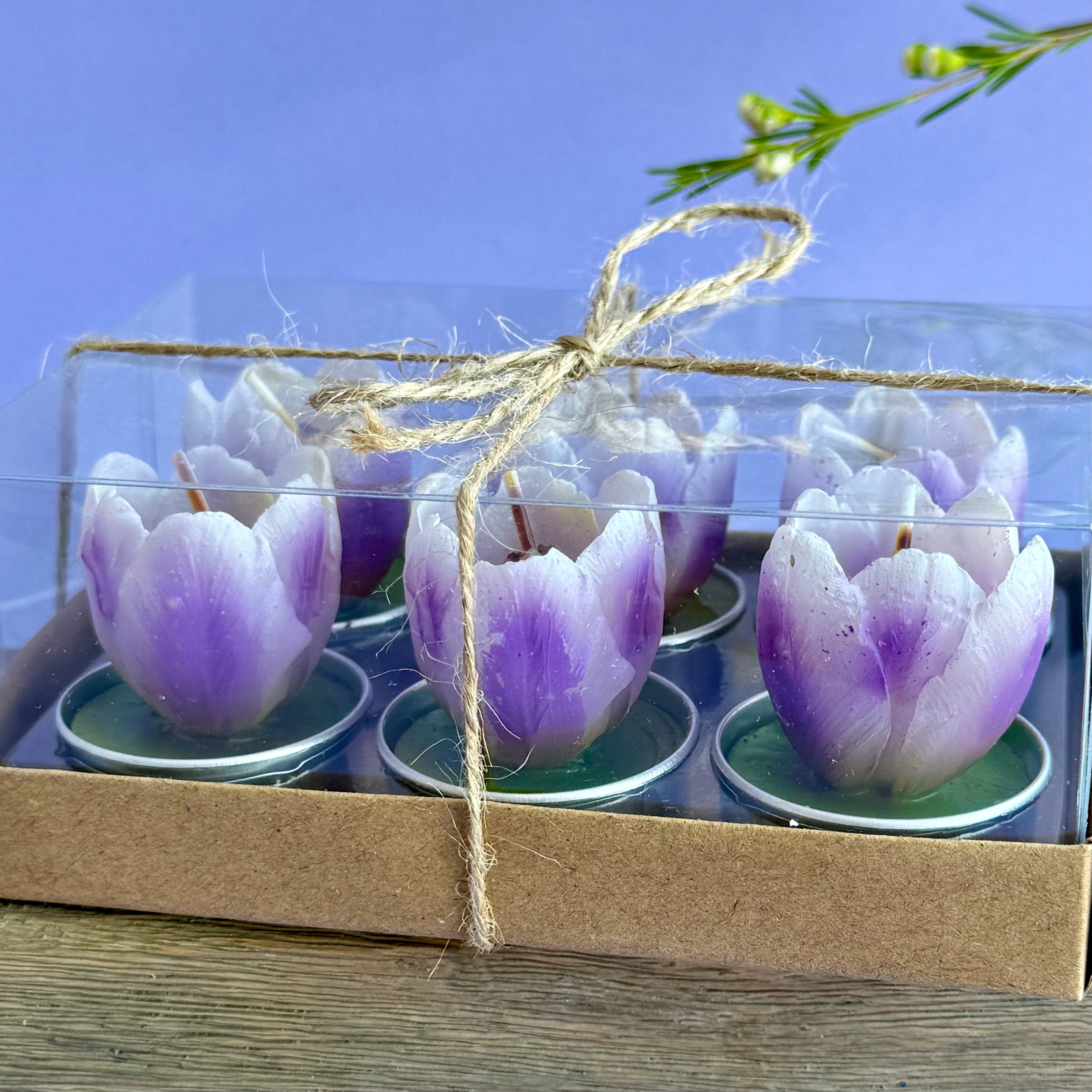 Tulip Tea Lights