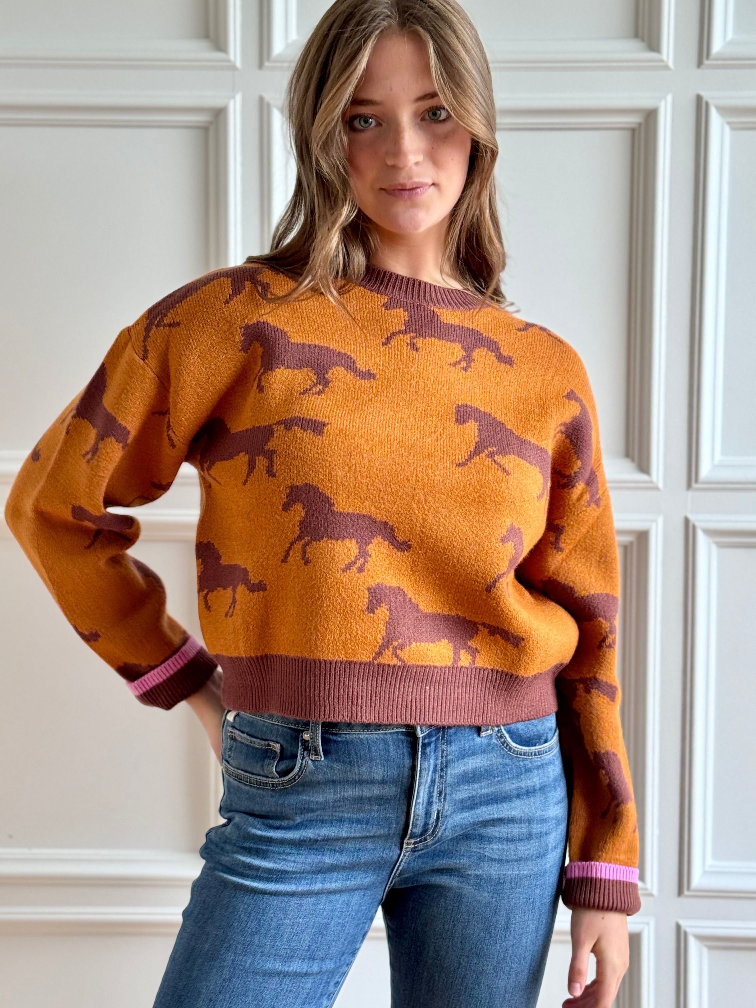 The Stallion Sweater