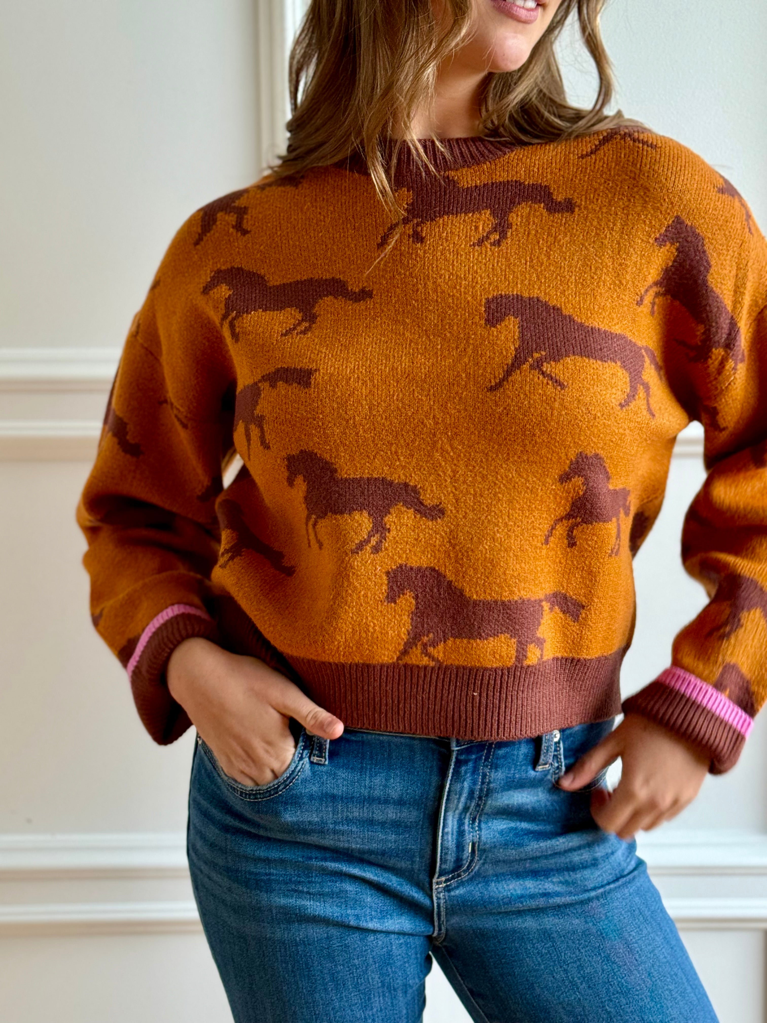 The Stallion Sweater