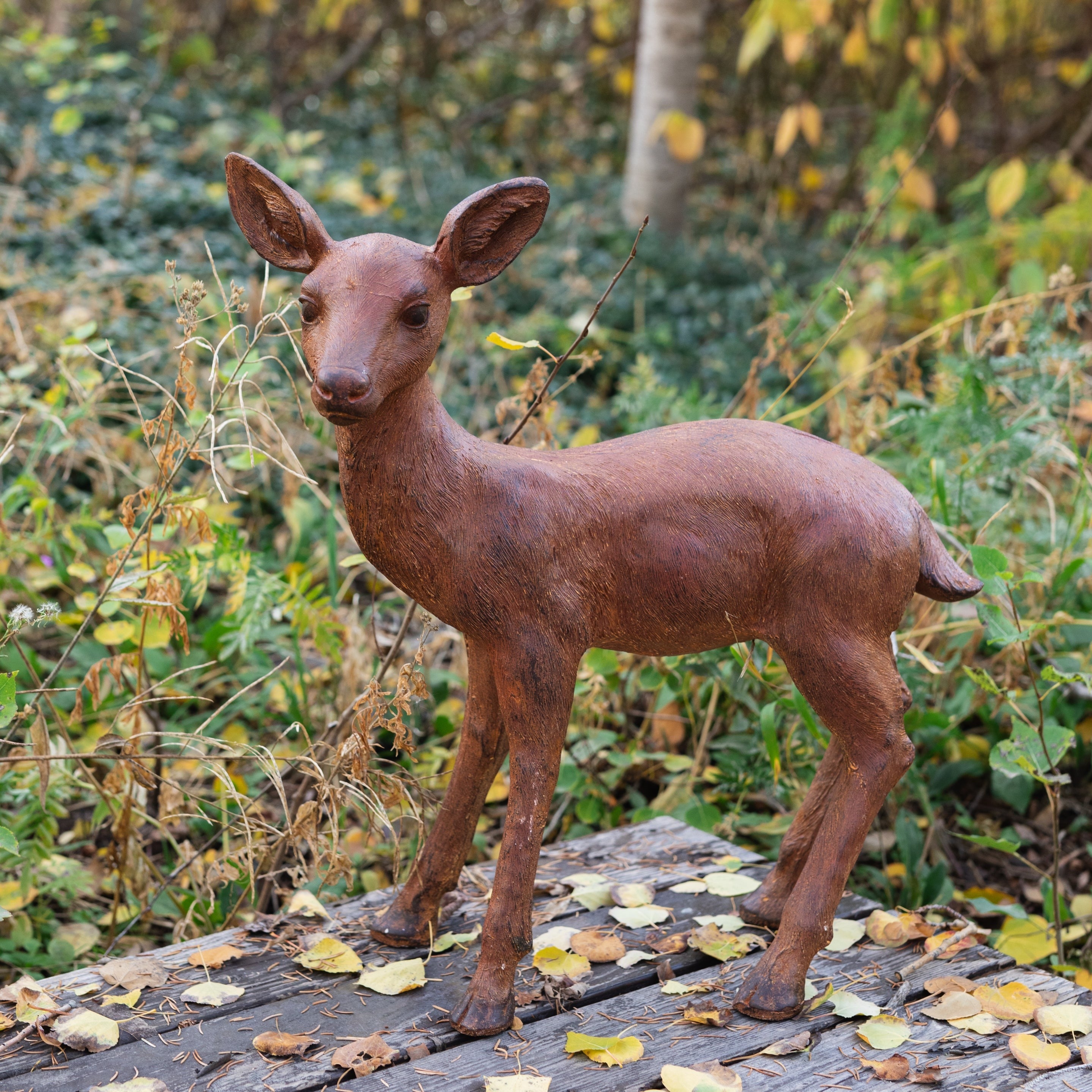 Standing Fawn