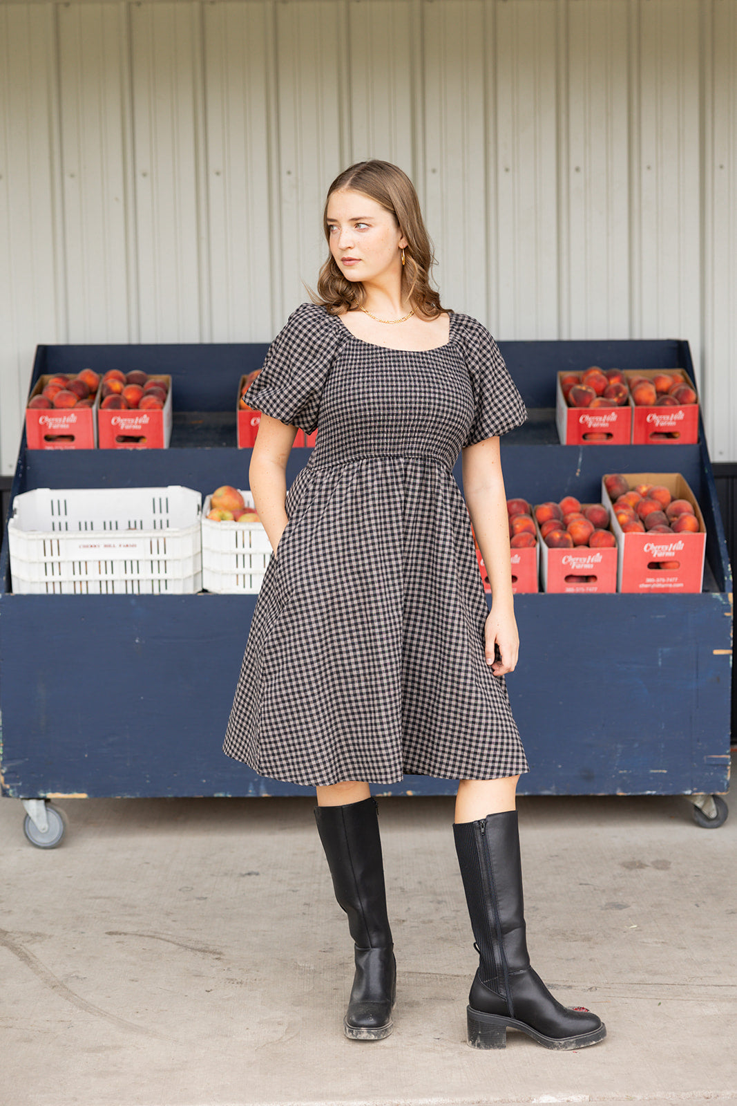 The Deanna Dress