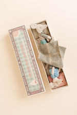Grandma and Grandpa Mice in Matchbox