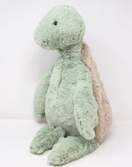 Bashful Turtle